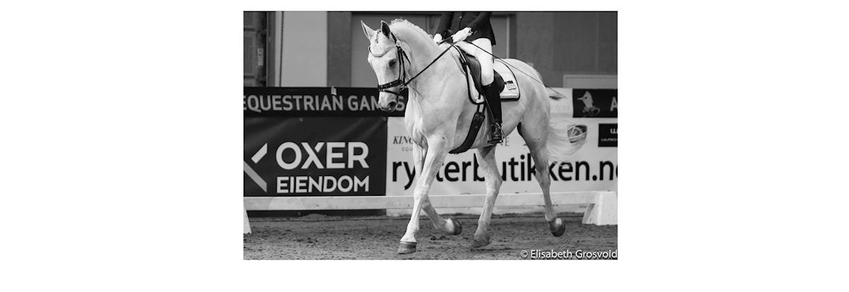 D-stevne dressur med Sørlandsmesterskap 2024